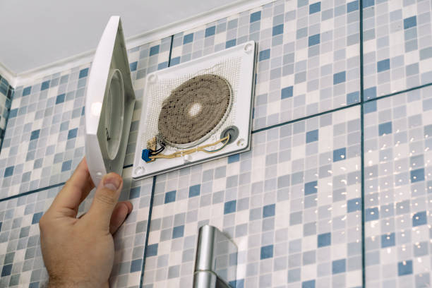 Best Air Duct Mold Removal  in Bear Rocks, PA
