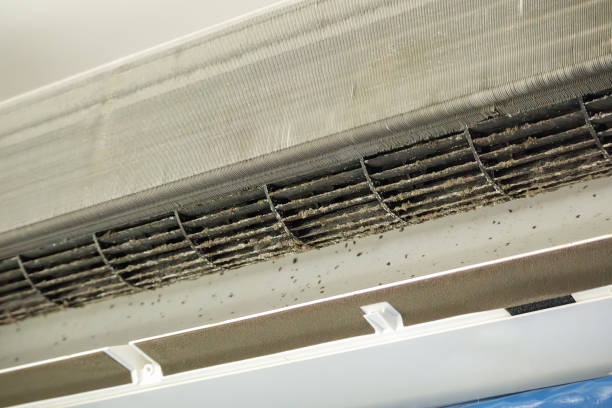 Trusted Bear Rocks, PA Airduct Cleaning Experts